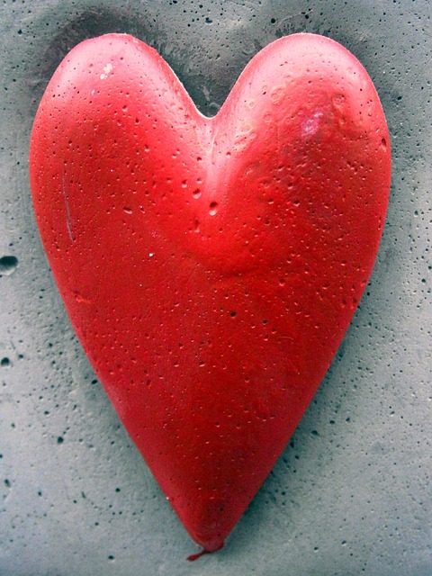 Free Red Beautiful photo and picture