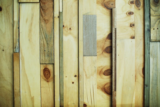 Free Tree Wall photo and picture
