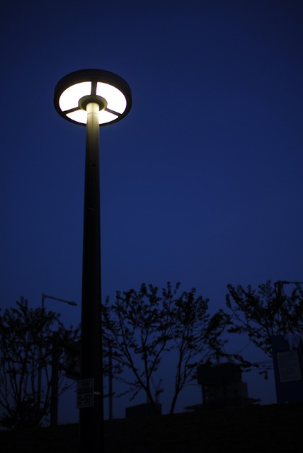 Free Street Lamp Night photo and picture