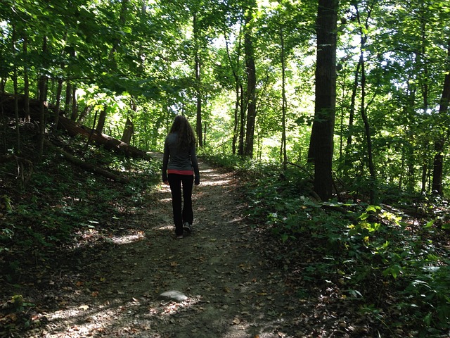 Free Hiking Woods photo and picture