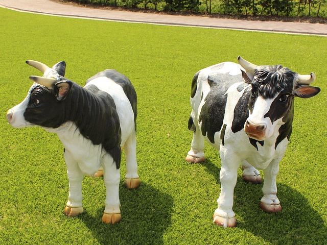 Vaca, Vacas, Especie Bovina, Ganado