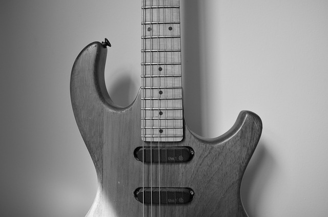 Free Music Instrument photo and picture