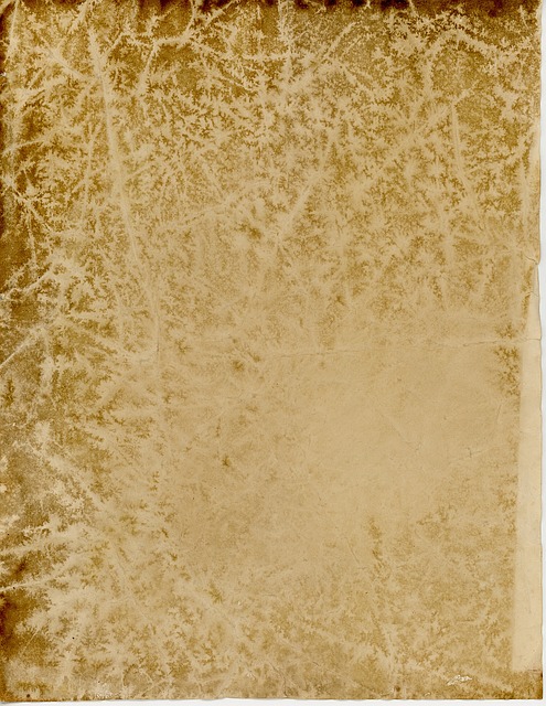 Free Old Parchment illustration and picture