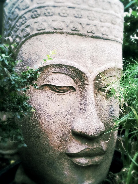 Free Buddha Zen photo and picture