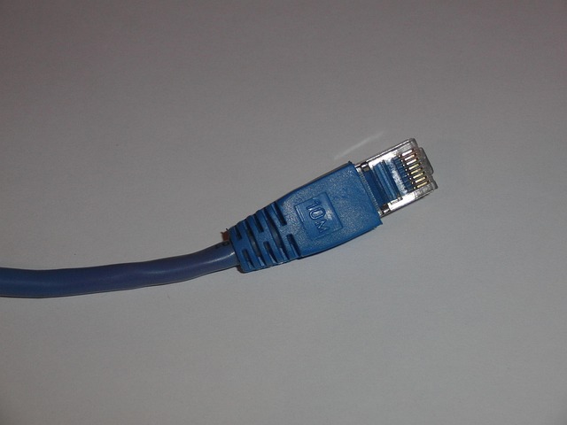 Network cable gay