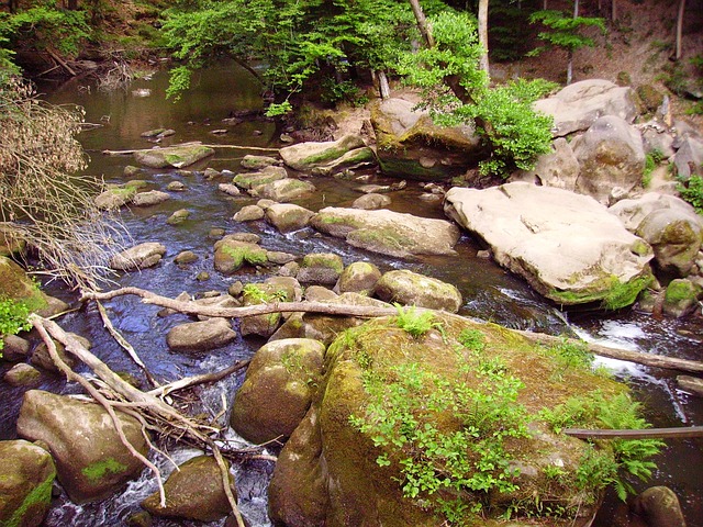 Free Water Stones photo and picture