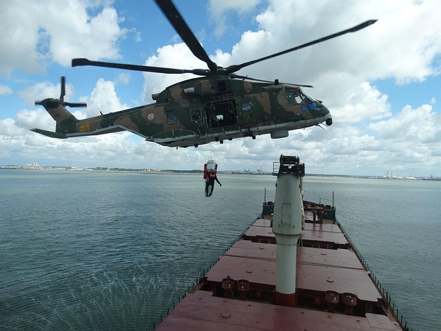 Free Helicopter Army photo and picture