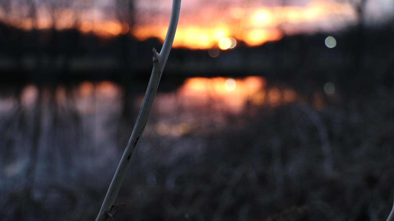 Zonsondergang, Takje, Natuur, Toneel