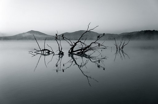 Nature Reserve, Africa, Lake, Silent