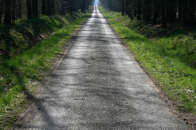 Free Moss Way photo and picture