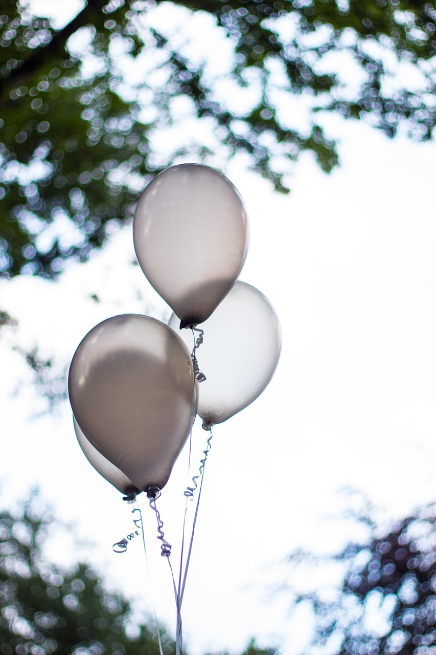 balloon-376528_1280.jpg