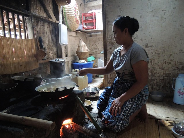 Indonésia, Comida Caseira, Tradicional