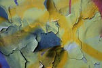 wall color, paint, facade