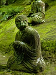 buddha statue, buddha, japan