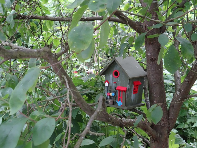 Free Bird House Nesting Box photo and picture