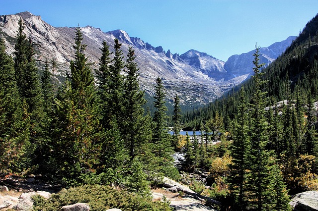 Free Mountains Forest photo and picture