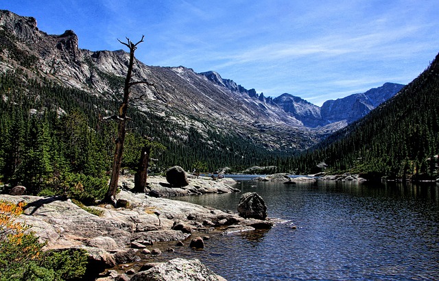 Free Mountains Forest photo and picture