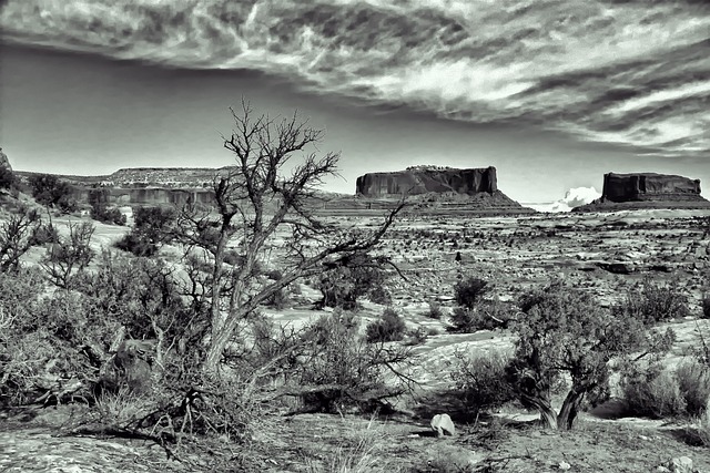 Free Dramatic Spooky photo and picture