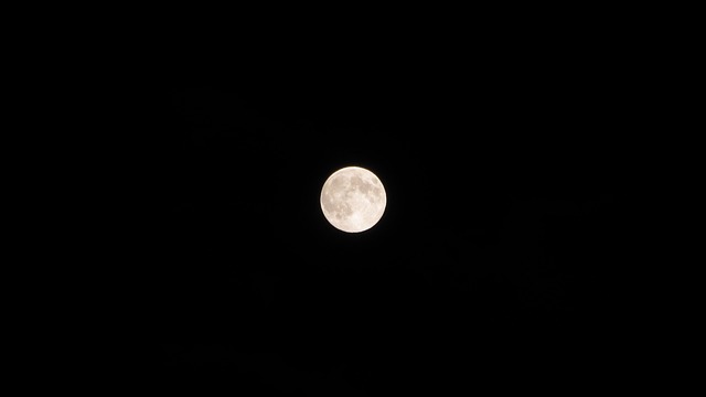 Free Moon Moonlight photo and picture