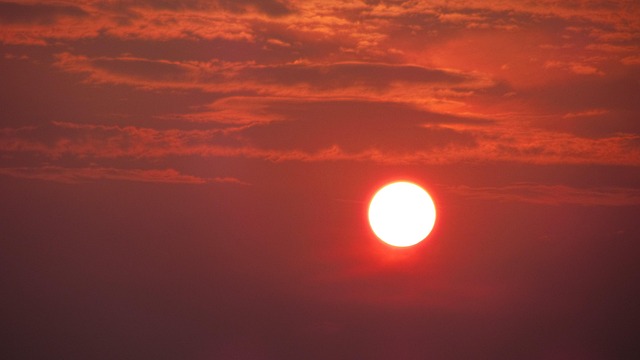 Free Sun Sunlight photo and picture