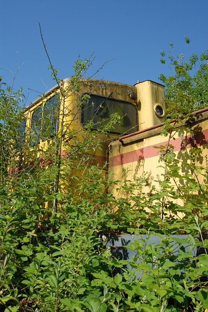 Free Diesellock Lock photo and picture