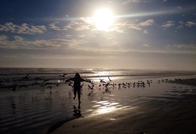 Free Child Playing Birds photo and picture