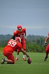 football, american football, helmet
