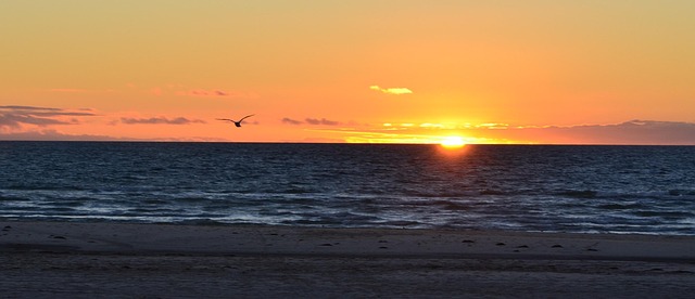 Free Sunset Sea photo and picture
