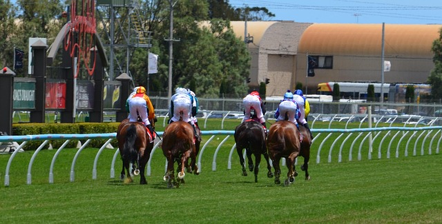 Free Horses Racing photo and picture