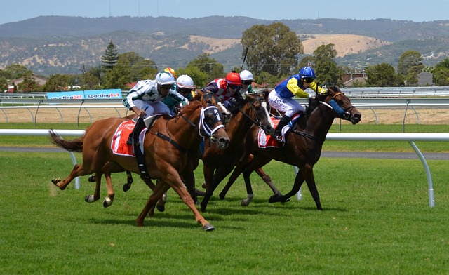 Free Horses Racing photo and picture
