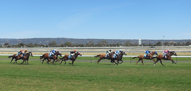 Free Horses Racing photo and picture