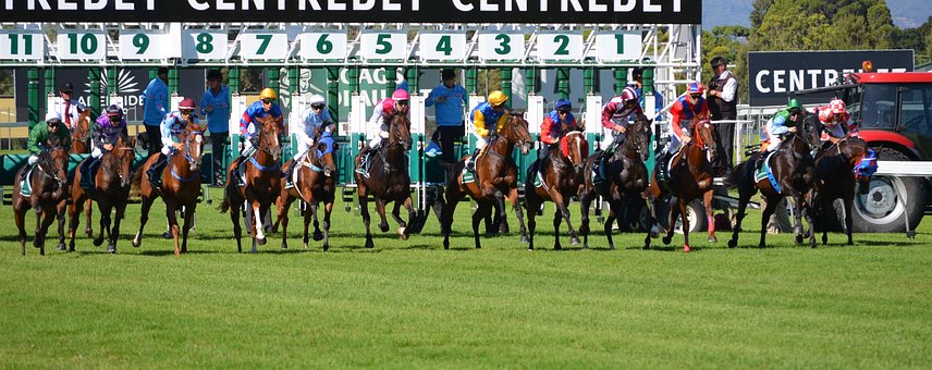 馬, 競馬, 騎手, スポーツ, 仮面ライダー, トラック, サラブレッド