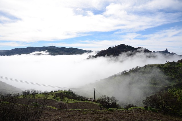 Free Gran Canaria Canary photo and picture