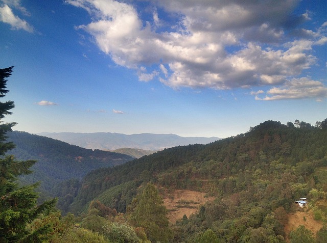 Free Mexico Oaxaca photo and picture