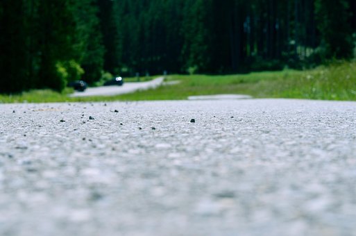 Free Path Hike photo and picture