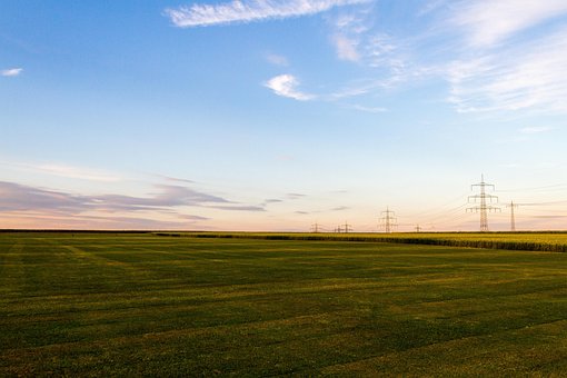 O Campo De Sementes De Colza, Panorama