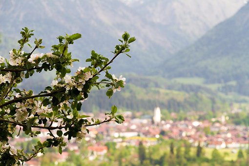 Oberstdorf, Árvore De Maçã, Alpes