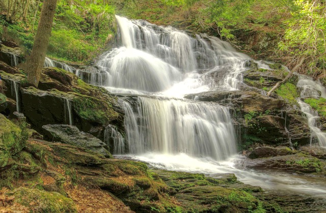 Free Garwin Falls Waterfall photo and picture