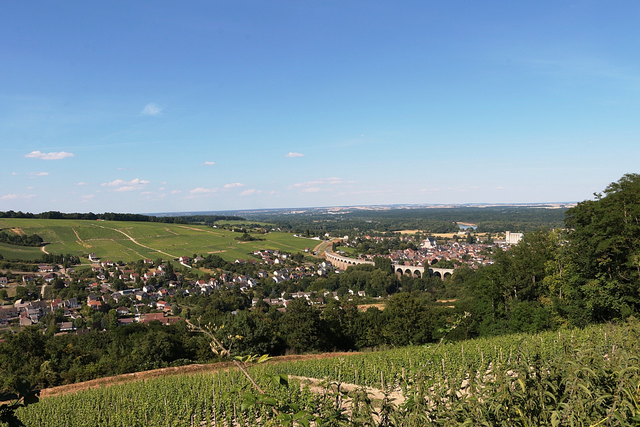 Sancerre Loire Vineyard - Free photo on Pixabay - Pixabay
