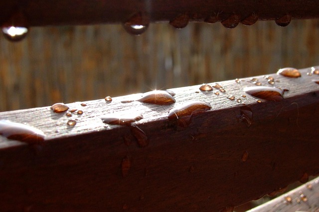 Gota De Agua, Rocío, Madera