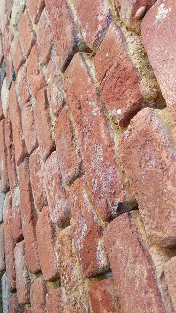 Free Brick Wall photo and picture