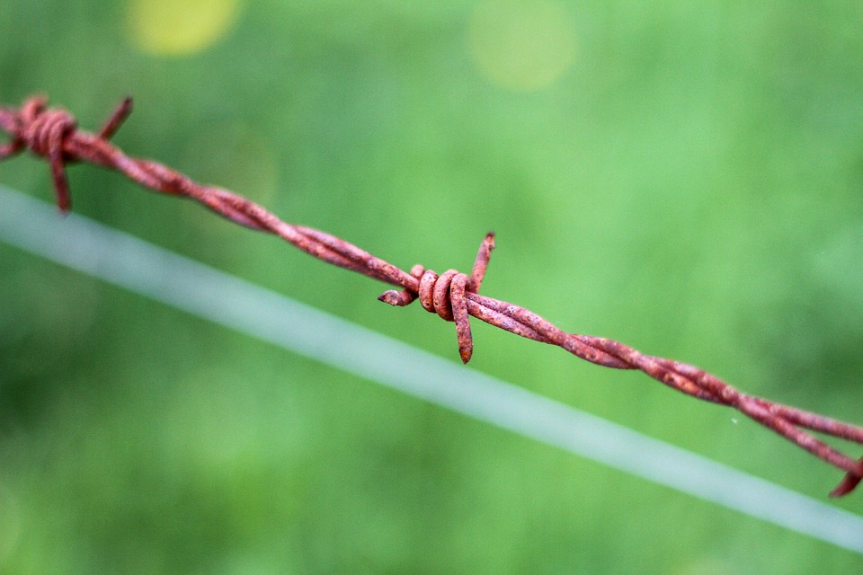Barbed Wire Rust Fence Free photo on Pixabay Pixabay