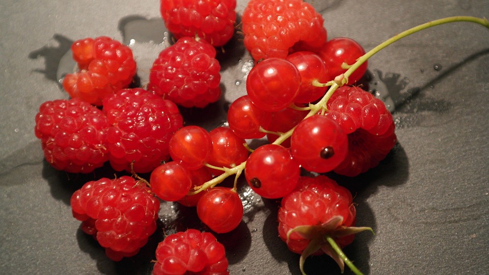 Currants Raspberries Berry - Free photo on Pixabay - Pixabay