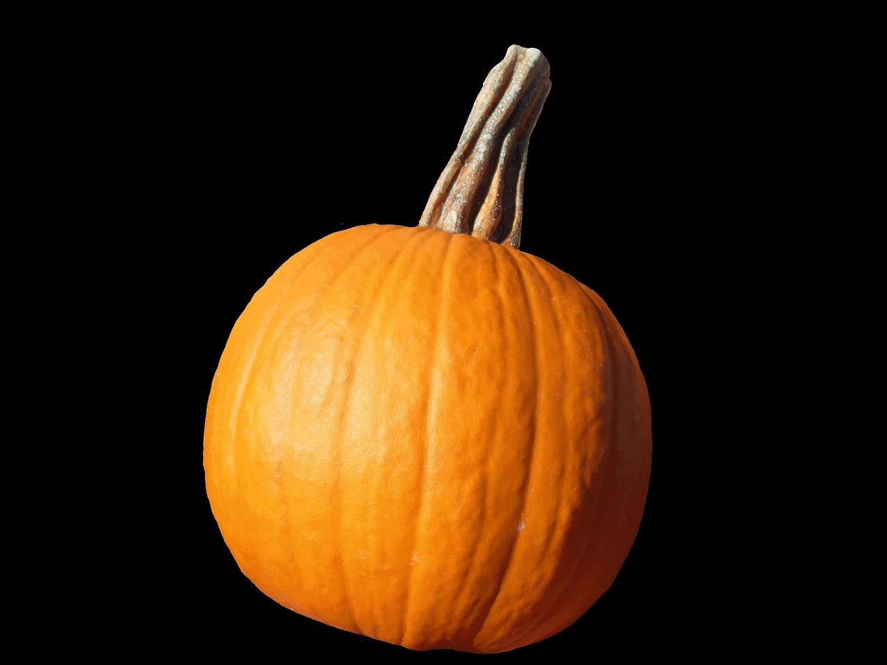 calabaza-vegetal-calabazas-foto-gratis-en-pixabay-pixabay