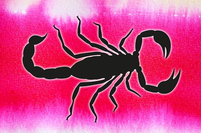 Free scorpio graphically arachnid illustration