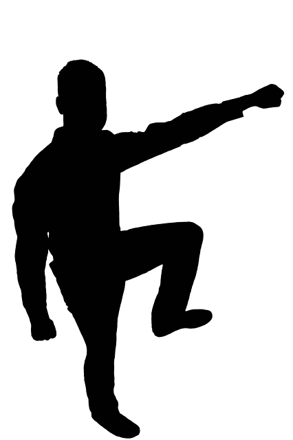 Free Silhouette Black illustration and picture