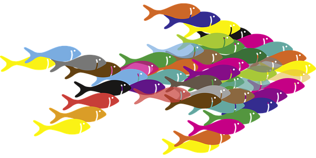 Free fish swarm together vector
