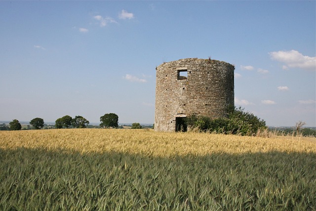 Free Field Countryside photo and picture