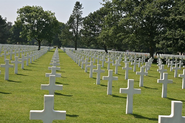 Free France Cemetery photo and picture