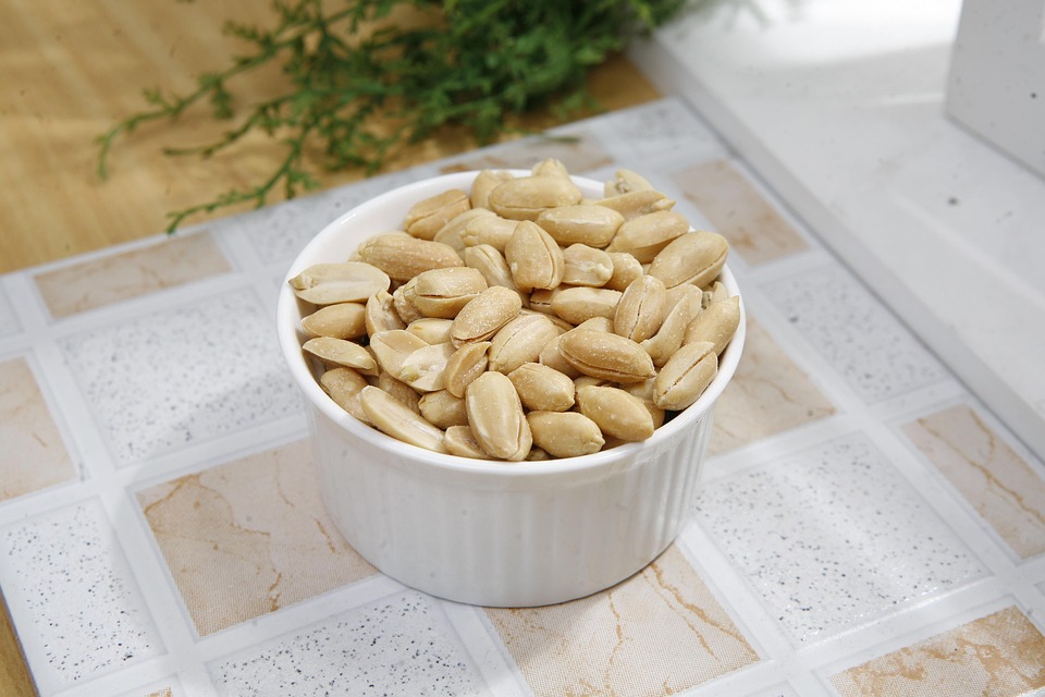 Free photo Seasoned Peanuts, Peanut Free Image on Pixabay 388793
